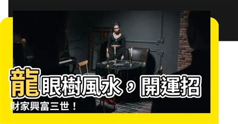 龍眼樹 風水|【龍眼樹風水】龍眼樹風水，開運招財家興富三世！